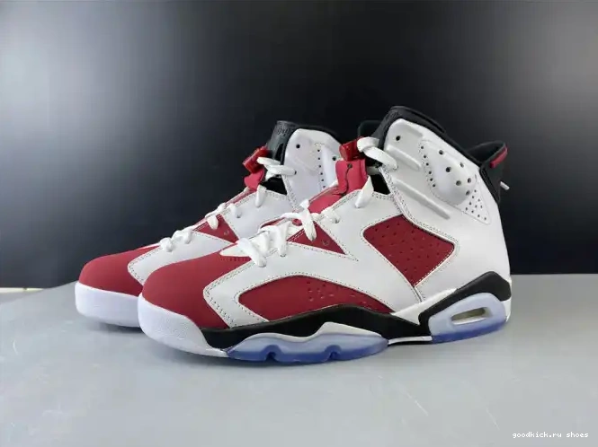 AIR 'CARMINE' RETRO 2014 384664-160 JORDAN 6 0527